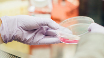 Rukavice na ochranu proti chemikáliám